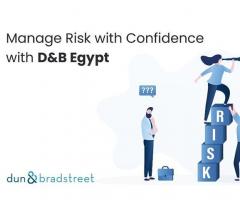 Enterprise Risk Management: D&B Egypt
