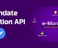 online E Mandate Verification API for automatic