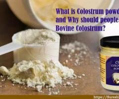 What is Colostrum powder and Why should people take Bovine Colostrum?