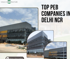 Elegant Peb Companies in Delhi NCR – Willus Infra