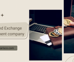 How to Evaluate the Credibility of a Centralized Exchange Development Company - 1