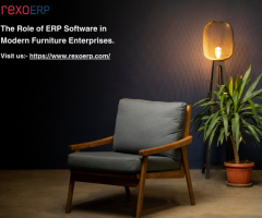 The Role of ERP Software in Modern Furniture Enterprises. - 1