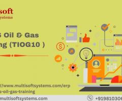 SAP IS Oil & Gas Online Training (TIOG10 ) - 1