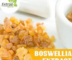 Boswellia Serrata Extract Manufacturer, Supplier & Exporter