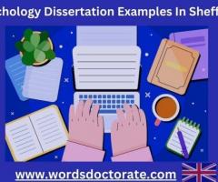 Psychology Dissertation Examples In Sheffield