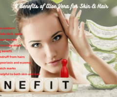 9 Health Benefits Of Aloe Vera For Skin & Hair