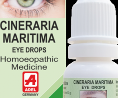 ADEL-42 Cineraria maritima eye drops