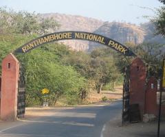 Ranthambore Tour Packages, Tiger Tour Packages, Wildlife Packages