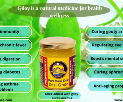 What is Giloy and Its Benefits?