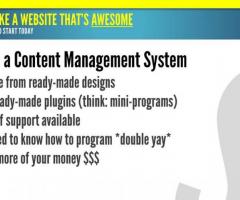 best CMS website development