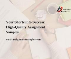 Your Shortcut to Success: High-Quality Assignment Samples