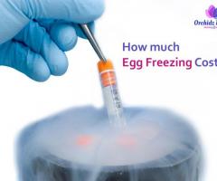 Discover Affordable Egg Freezing with Orchidz Health in Bangalore
