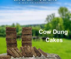 Cow Dung Cakes In India