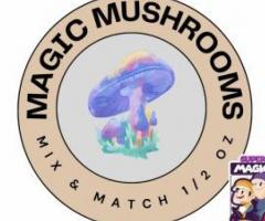 Explore Enchantment: Magic Mushroom Store Online - 1