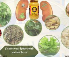 Herbs For Health Of Kidney