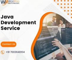 Next-Level Java Development Service Provider