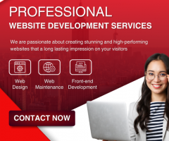 Best Website Development Services in Usa - 1