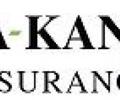 Safeguard Your Small Business Under The Securing Umbrella Of A-Kan Insurance - 1