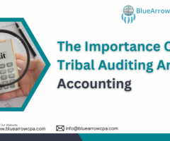 Empowering Your Finances | Blue Arrow CPAs Tribal Accounting Services
