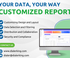 DIALER KING: Tailor Your Data Reporting with Customized Reports