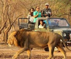 Experience the Thrill of a Lifetime on a Wildlife Safari Adventure
