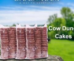 Cow Dung Cakes - 1