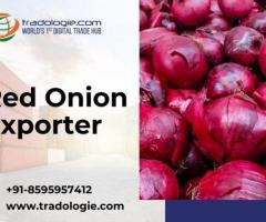 Red Onion Exporter - 1