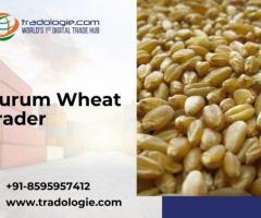Durum Wheat Trader