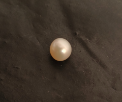 Natural South Sea Pearl Best Price - deepseapearl