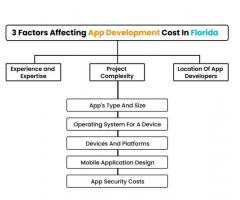 Hire App Developers In Florida | Protonshub Technologies