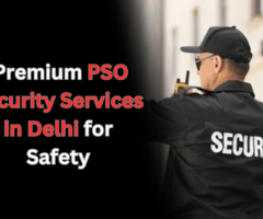 Premium PSO Security Services in Delhi for Safety