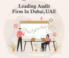 Expert and Trusted Accountants in Dubai and UAE