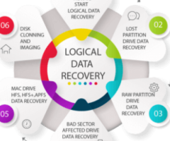 Trusted Online Data Recovery Experts: Retrieve Your Files Now