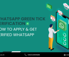 How to get Free WhatsApp Green Tick in 4 Easy Steps