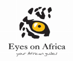 Explore the Wild Wonders of Kenya with Eyes on Africa Safaris