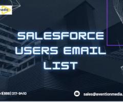 What makes the Salesforce Users Email List ideal for targeted marketing campaigns? - 1