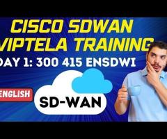 Cisco SD-WAN Viptela with Lab Access from LAN AND WAN TECHNOLOGY - 1