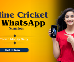 Get the Fastest Online Betting Id Whatsapp Number? - 1