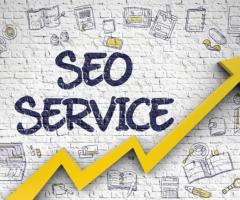 Boost Your Online Presence with best local seo company - Quality Zone Infotech - 1