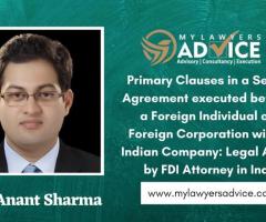 Primary Clauses in a Service Agreement executed between a Foreign Individual