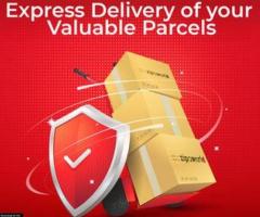Get your packages delivered fast with Express Delivery service - 1