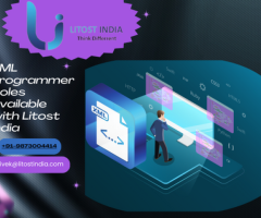 XML Programmer Roles Available with Litost India
