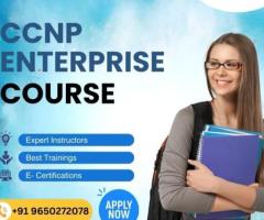 LAN AND WAN TECHNOLOGY OFFERS CCNP TRAINING ONLINE - 1