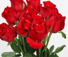 Should You Invest in Bulk Wholesale Flowers? - 1