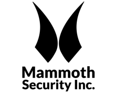 Mammoth Security Inc. Norwalk - 1