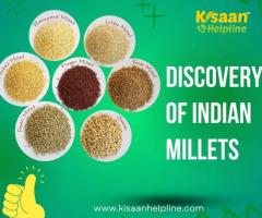 Discovery of Indian Millets - Nutritional Powers Unveiled - 1