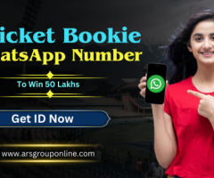 Are you looking for a Cricket Bookie whatsapp number in Delhi ? - 1