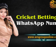 Genuine Cricket ID Whatsapp Number in India - 1