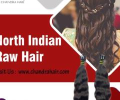 Order North Indian Raw Hair Online - 1