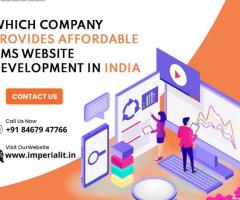 Which Company Provides Affordable CMS Website Development in India? - 1